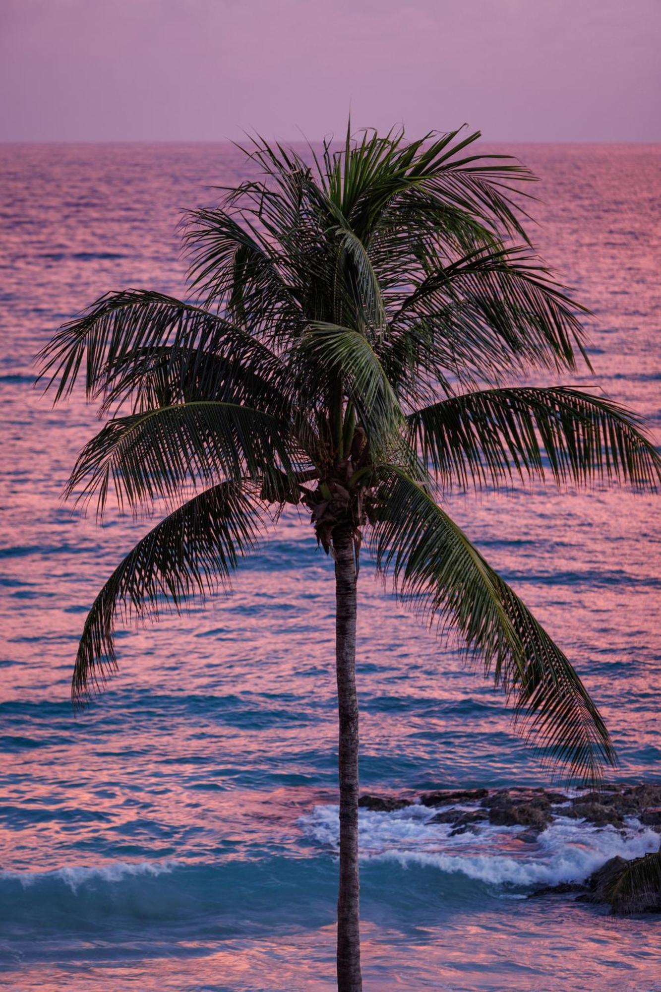 Sandals Barbados All Inclusive - Couples Only (Adults Only) 基督教堂市 外观 照片